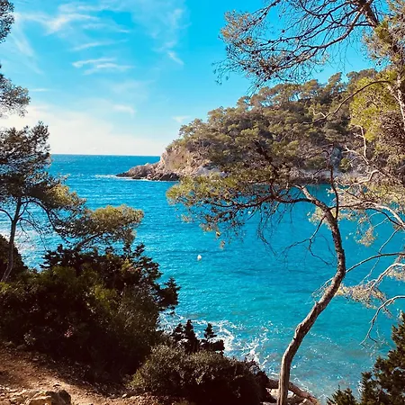 Entre Ciel Et Сasa de vacaciones Saint-Cyr-sur-Mer